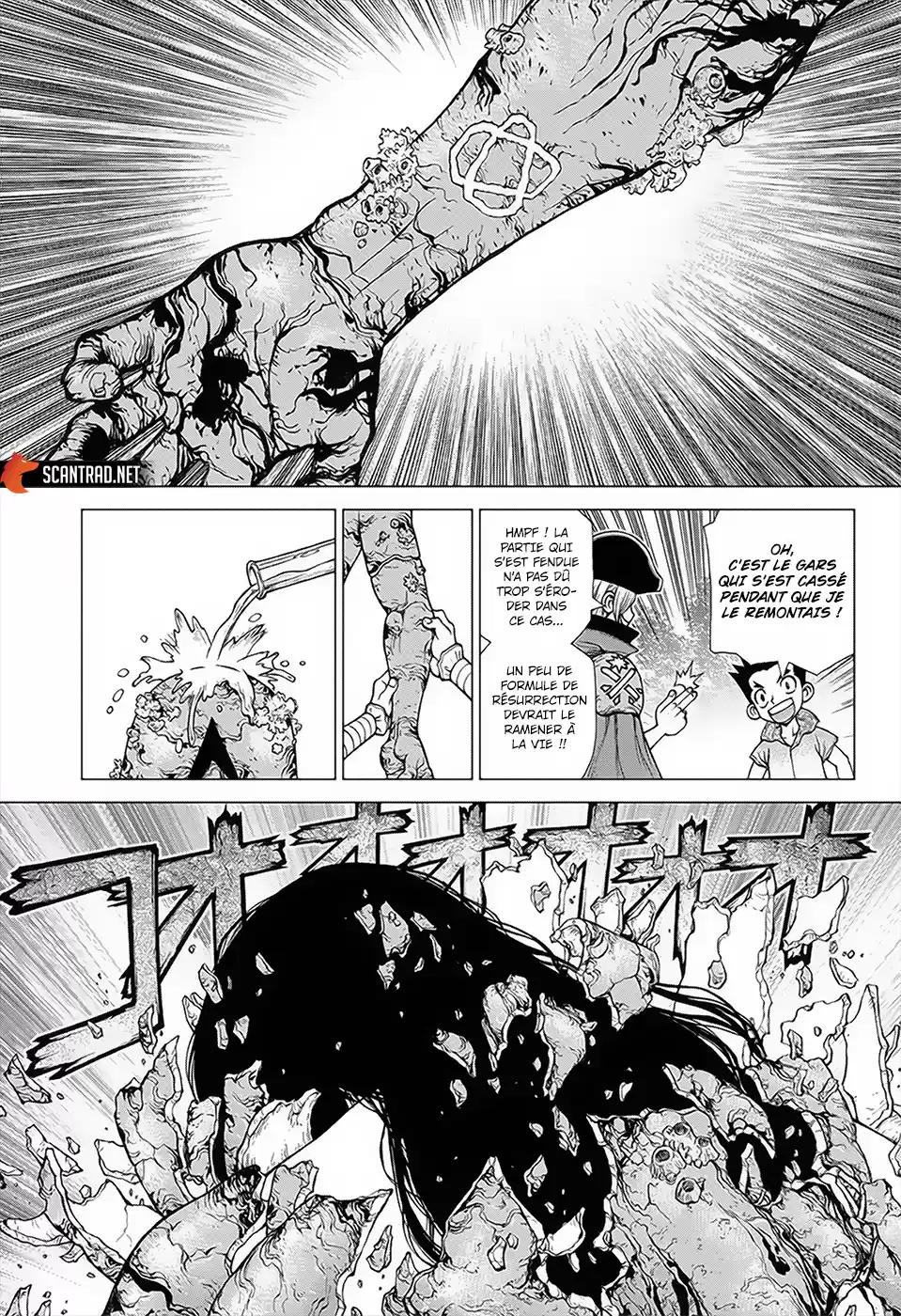 Read Dr. Stone FR Manga Online