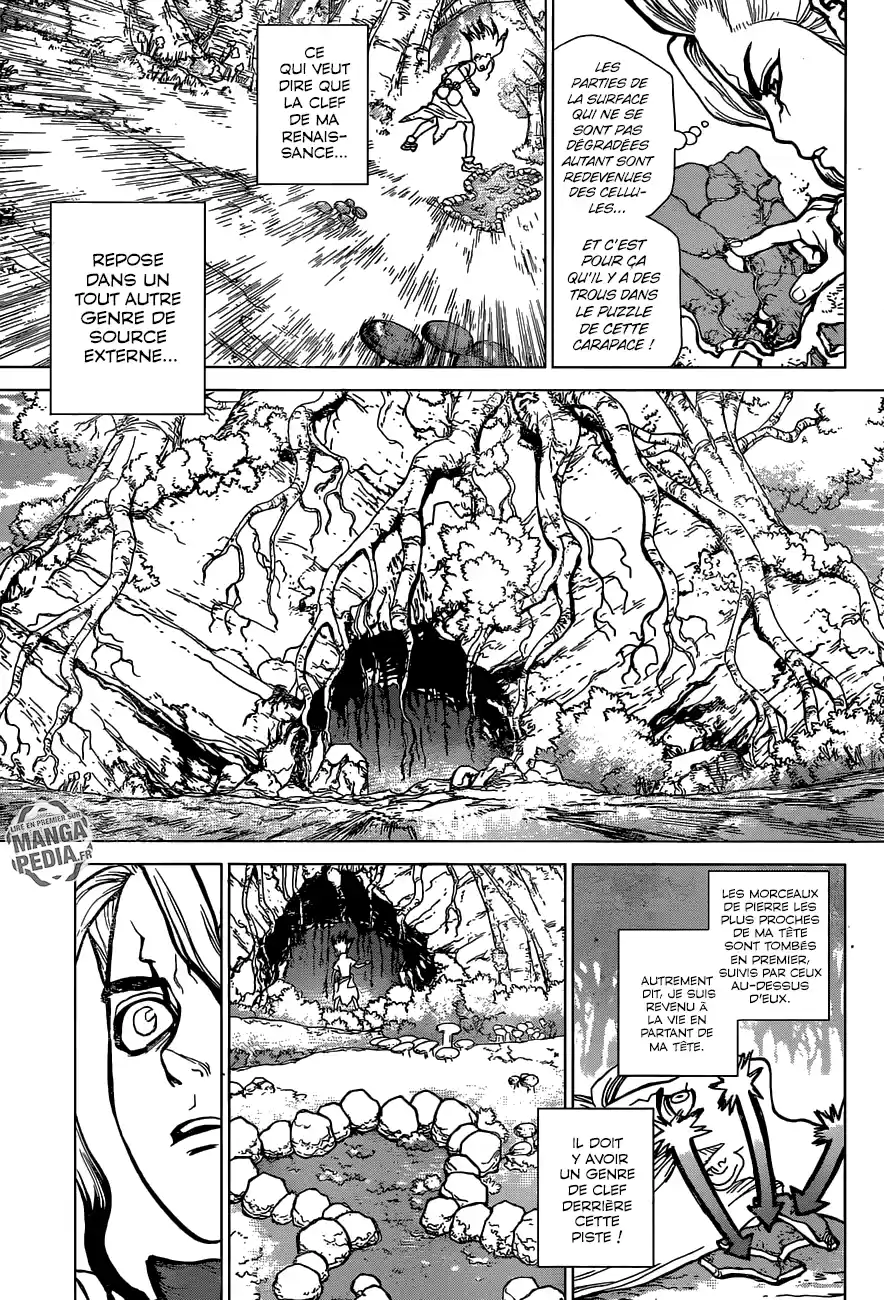 Read Dr. Stone FR Manga Online