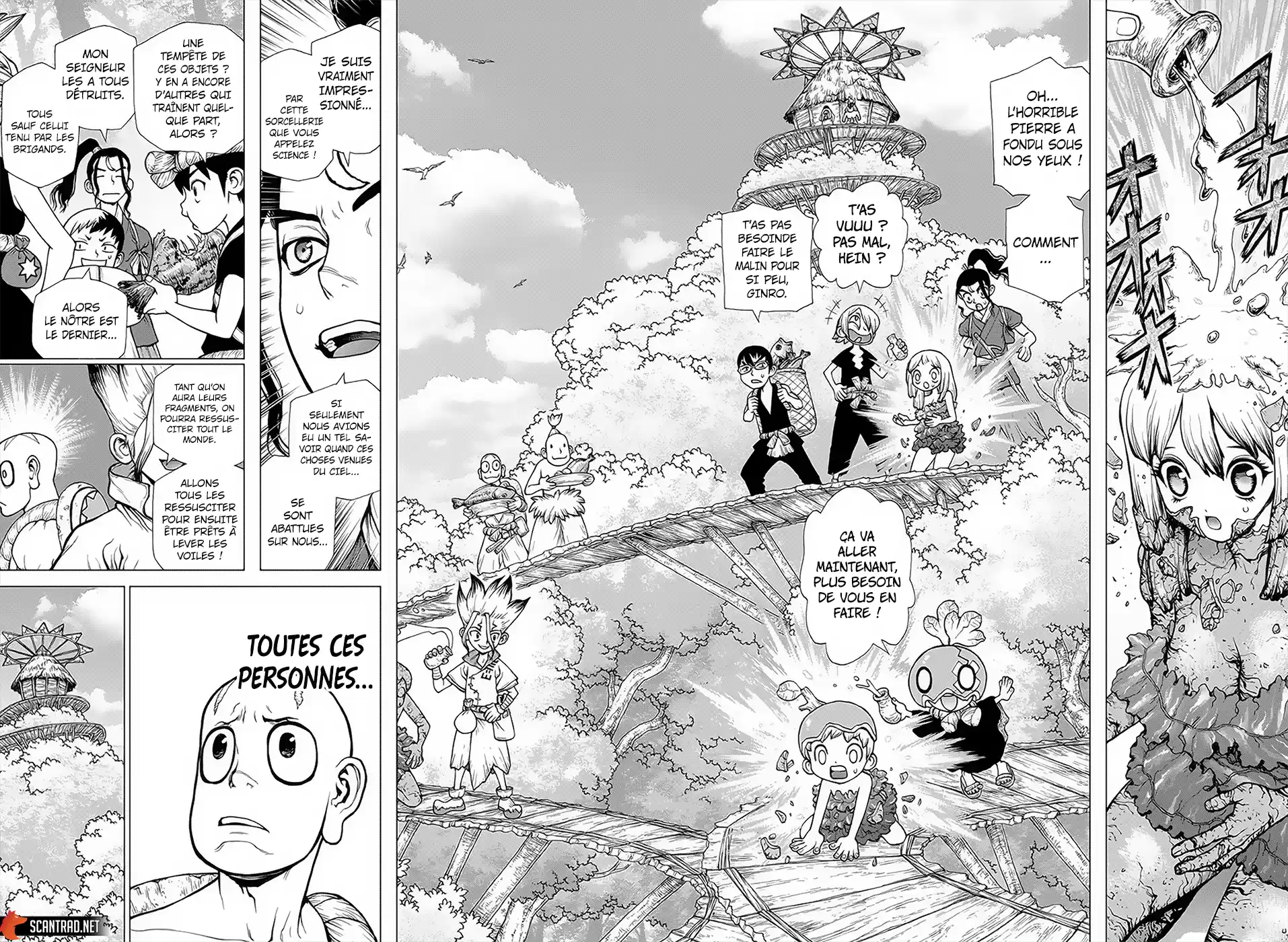 Read Dr. Stone FR Manga Online