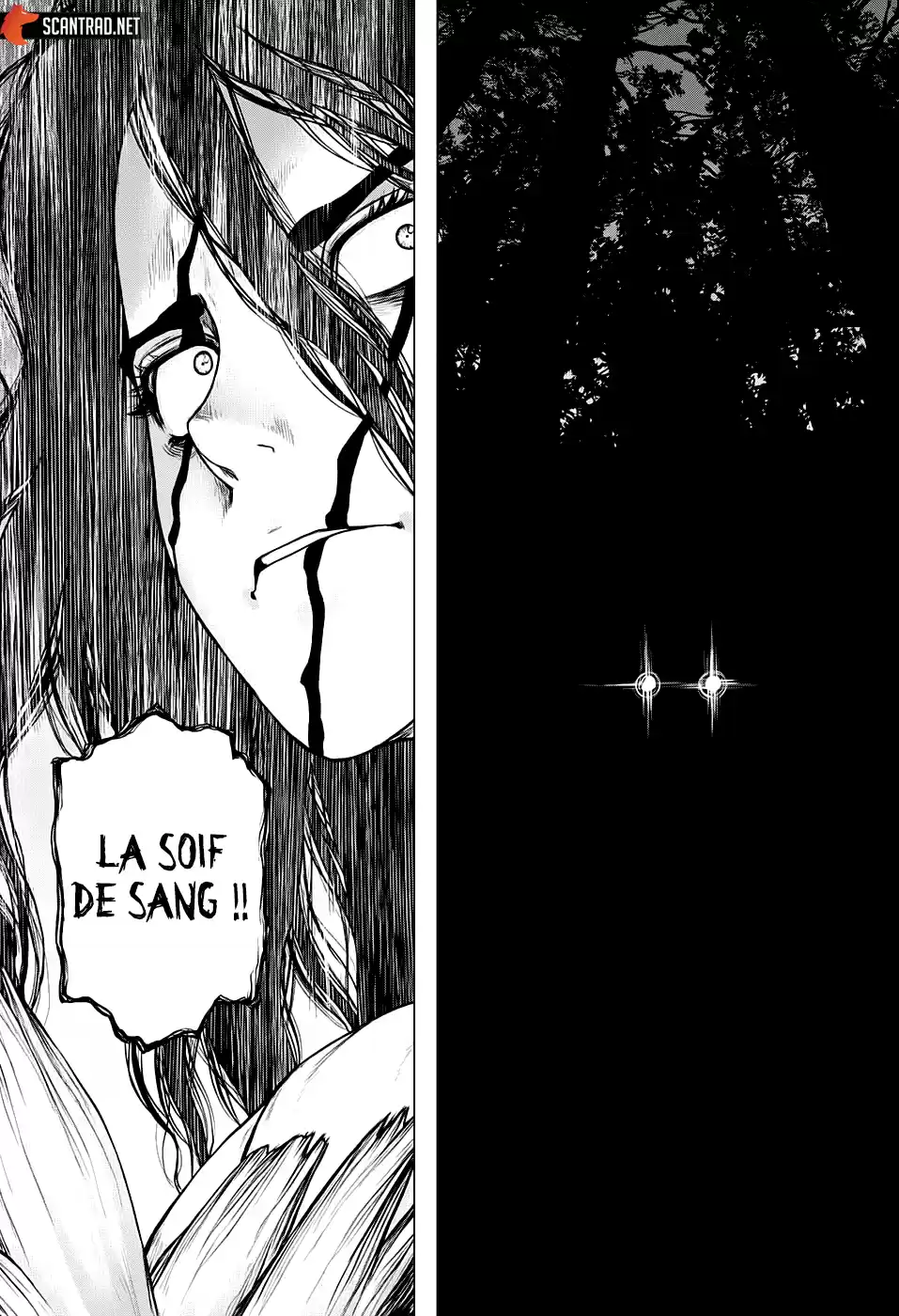 Read Dr. Stone FR Manga Online