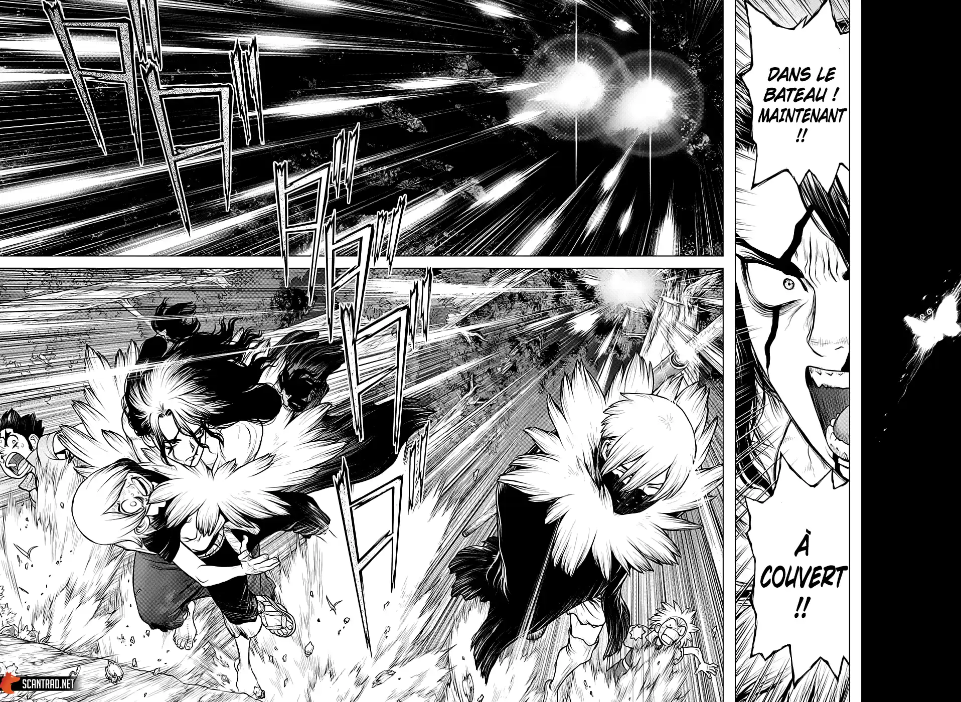Read Dr. Stone FR Manga Online