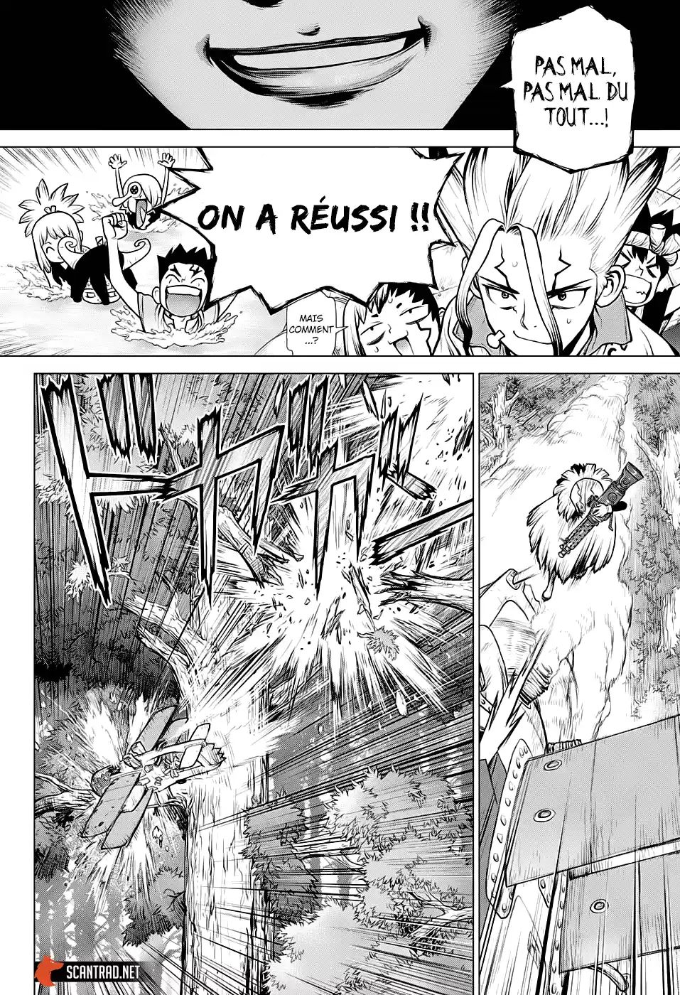 Read Dr. Stone FR Manga Online