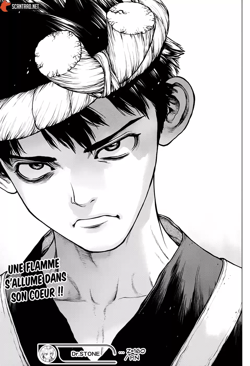 Read Dr. Stone FR Manga Online