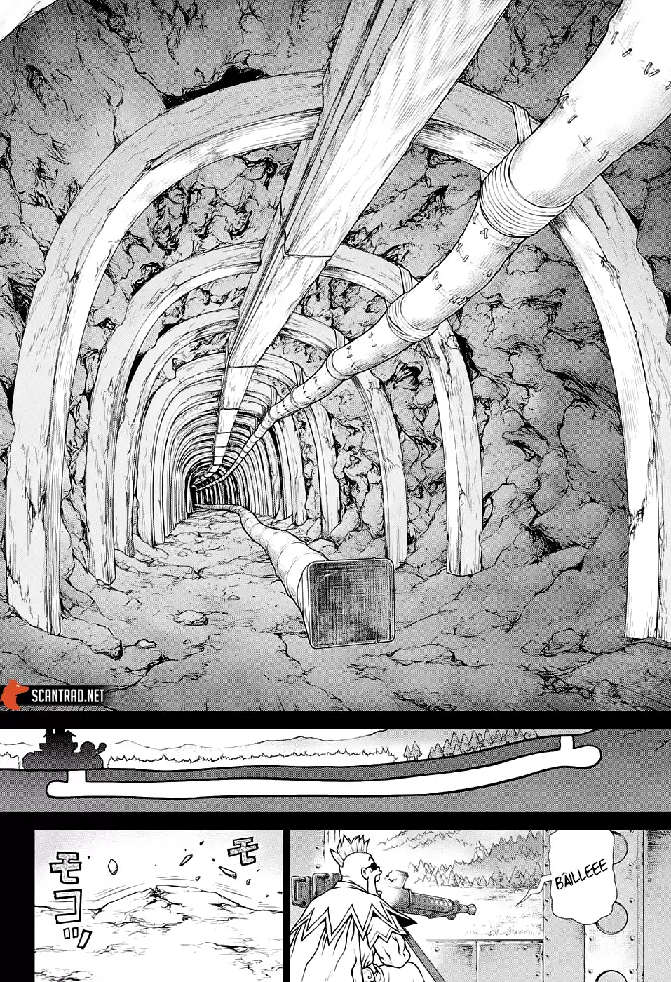 Read Dr. Stone FR Manga Online