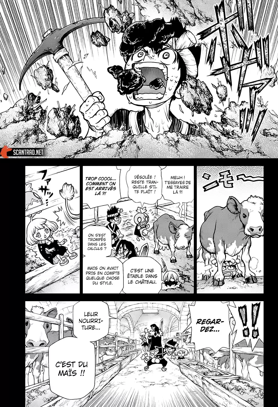 Read Dr. Stone FR Manga Online