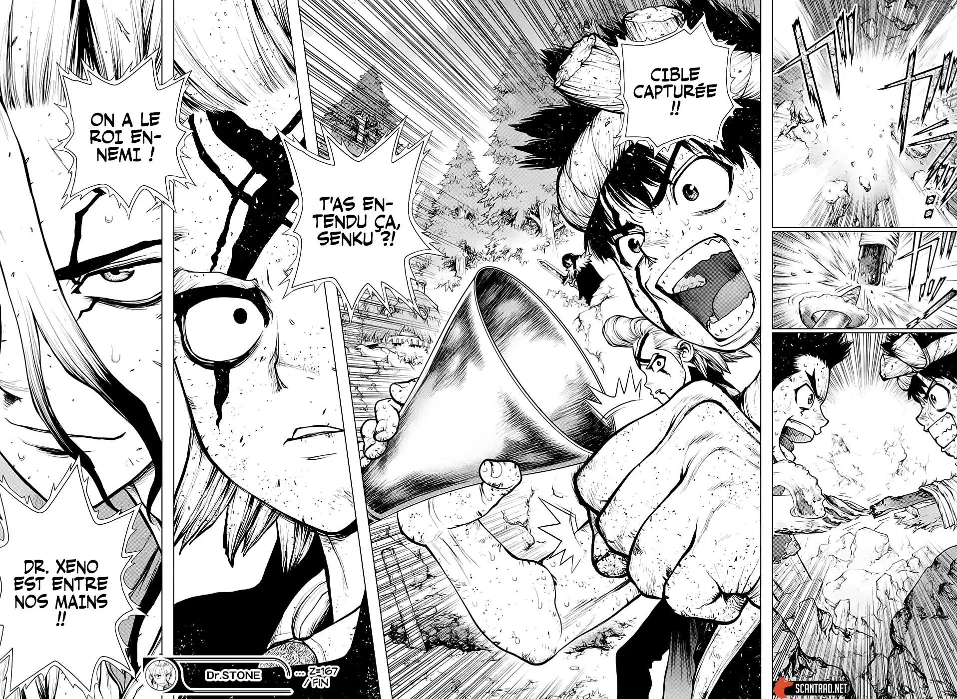 Read Dr. Stone FR Manga Online