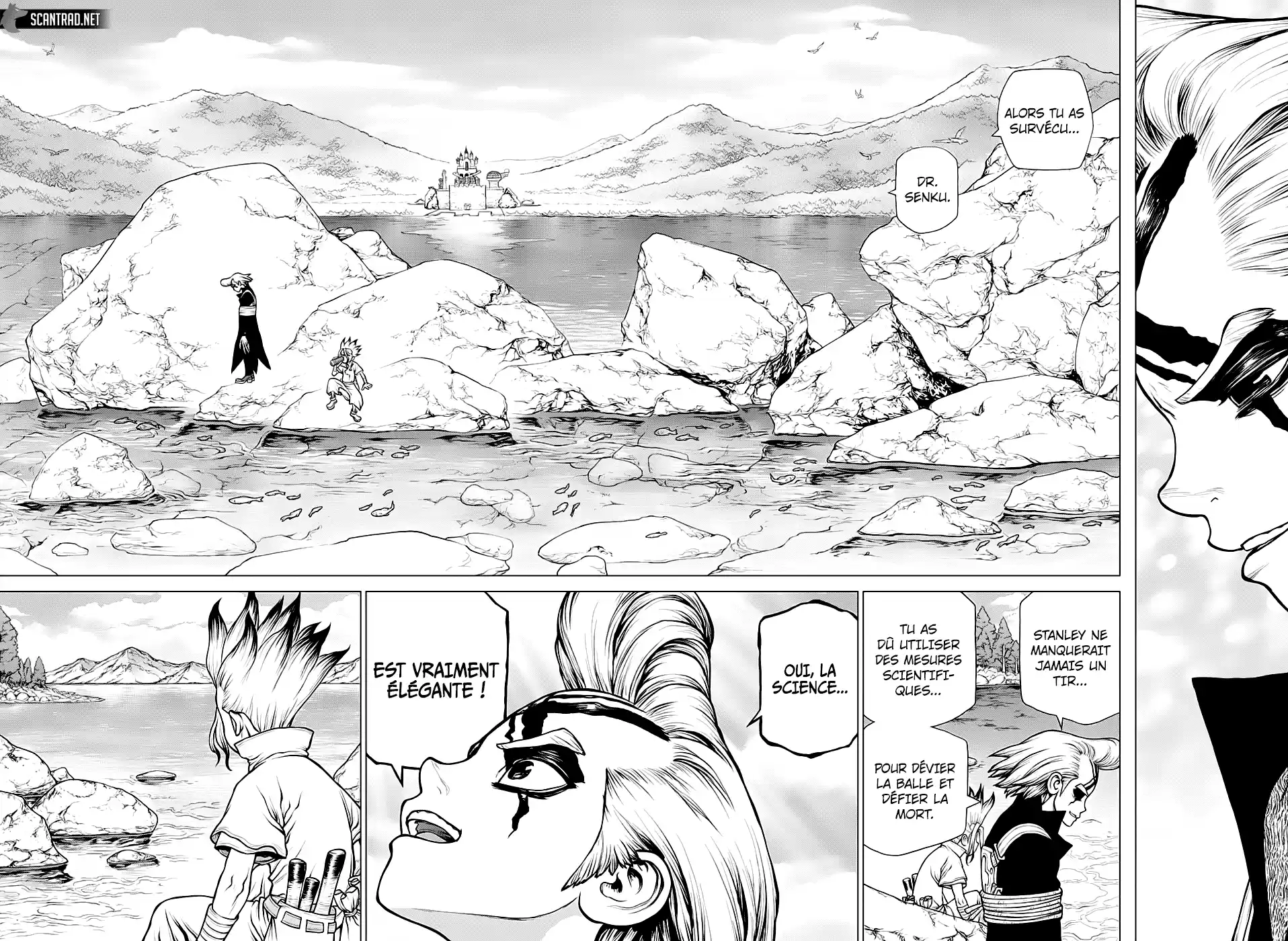 Read Dr. Stone FR Manga Online