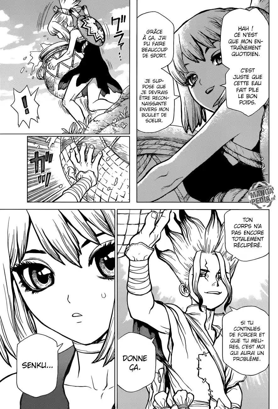 Read Dr. Stone FR Manga Online