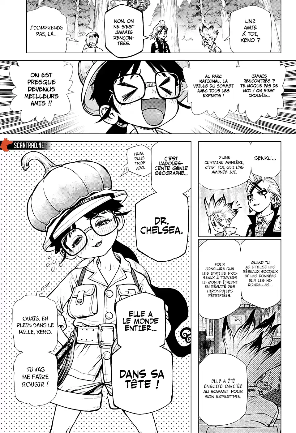 Read Dr. Stone FR Manga Online
