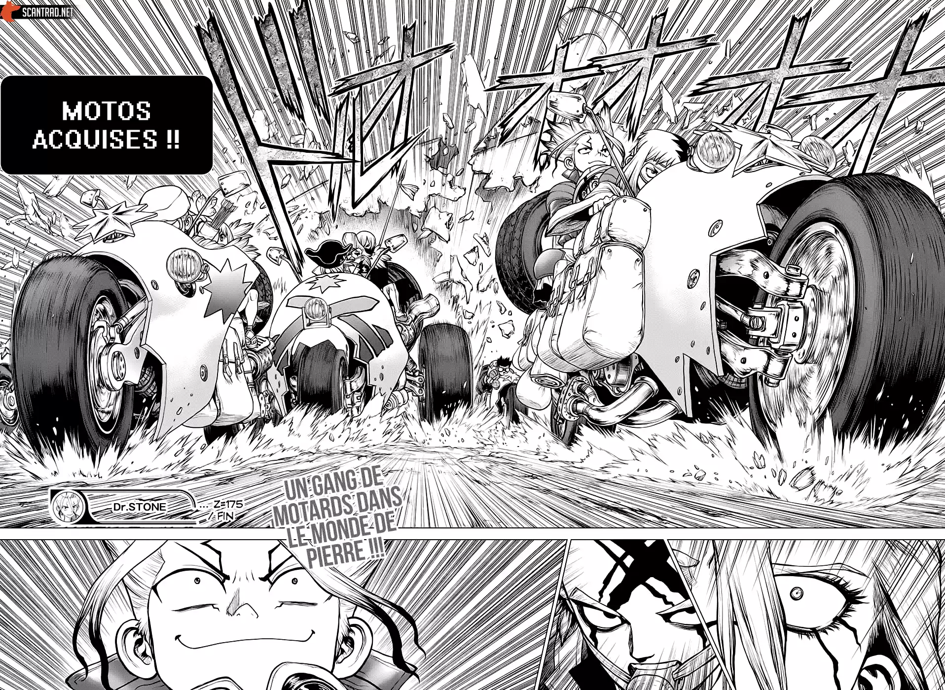 Read Dr. Stone FR Manga Online
