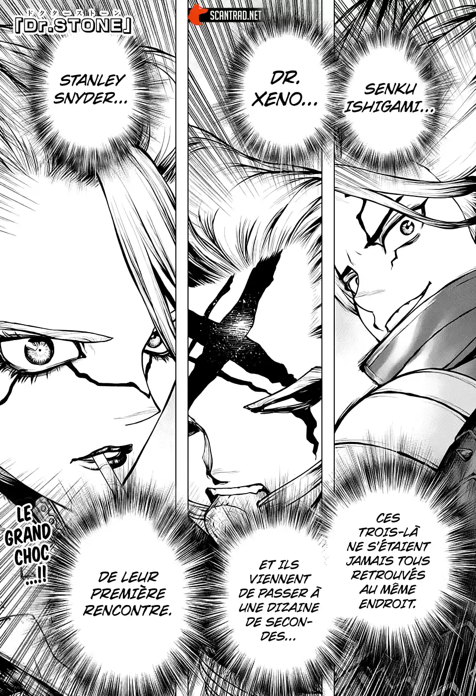 Read Dr. Stone FR Manga Online