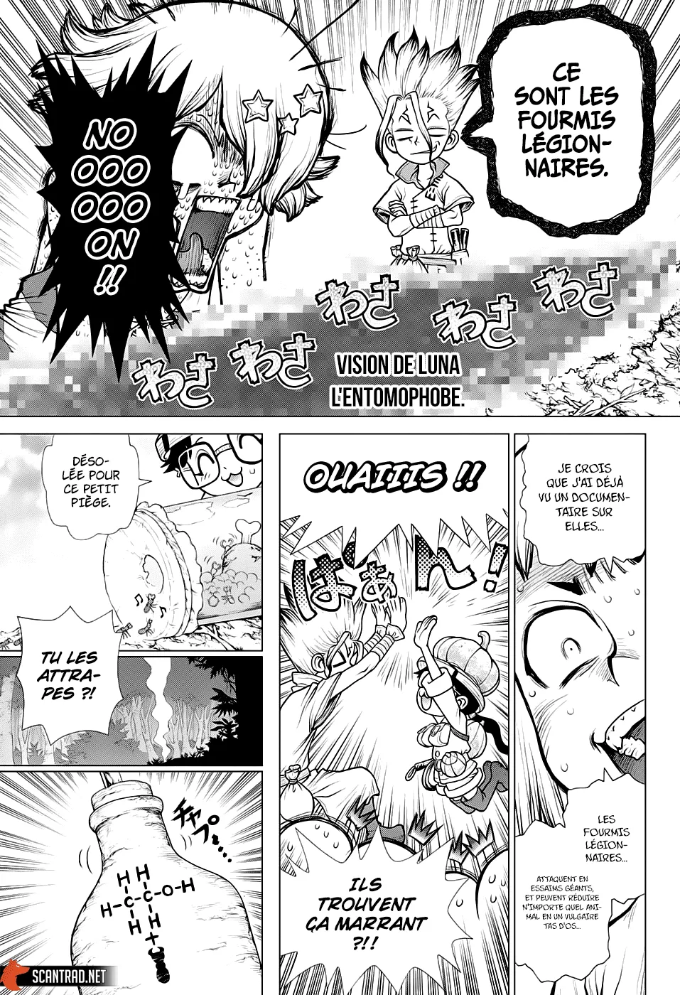 Read Dr. Stone FR Manga Online
