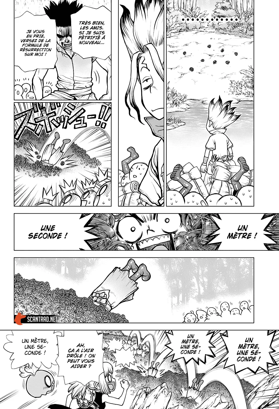 Read Dr. Stone FR Manga Online