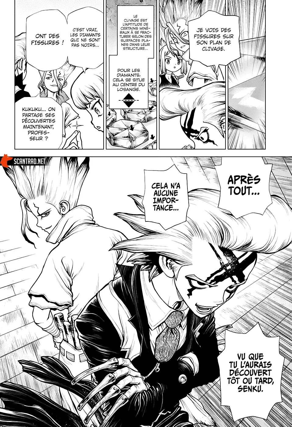Read Dr. Stone FR Manga Online