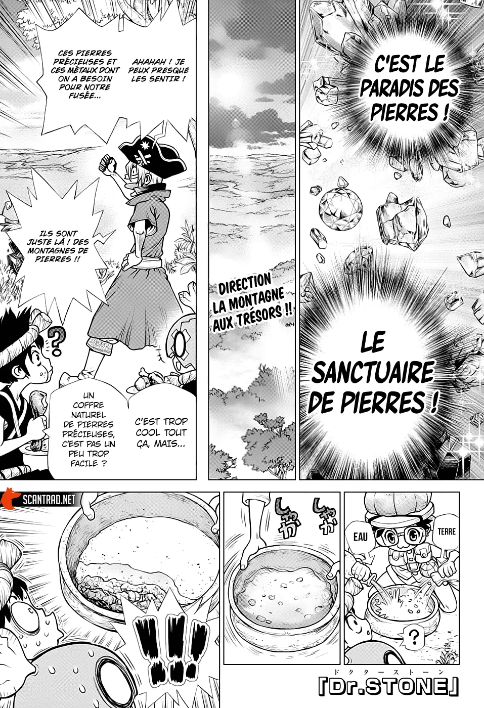 Read Dr. Stone FR Manga Online