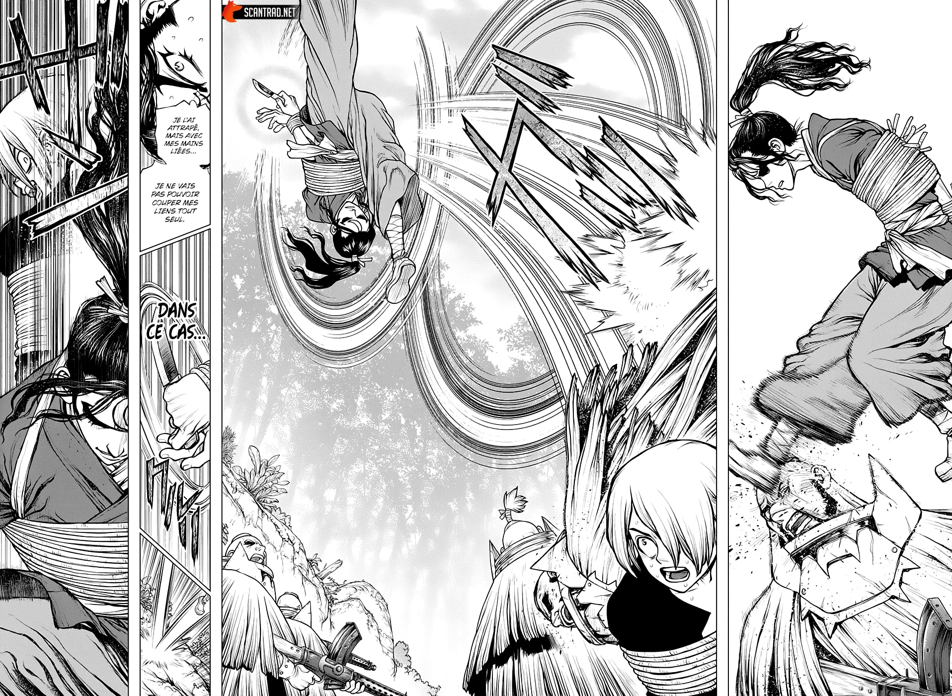 Read Dr. Stone FR Manga Online