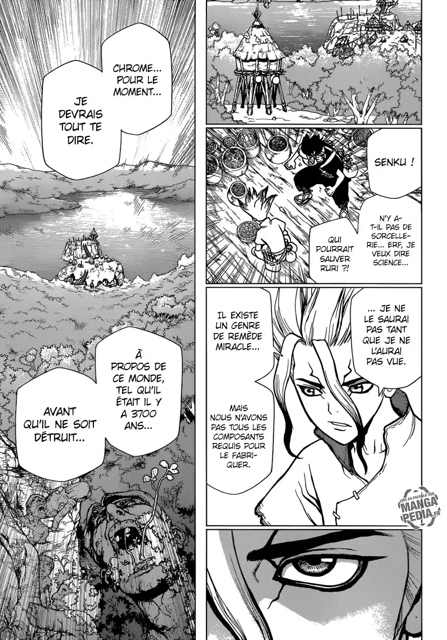 Read Dr. Stone FR Manga Online