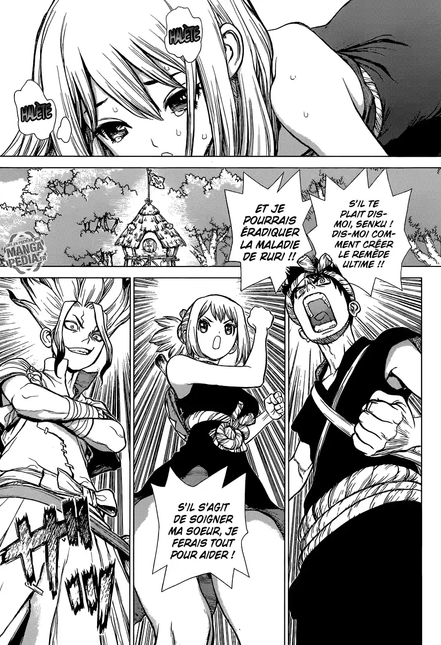 Read Dr. Stone FR Manga Online