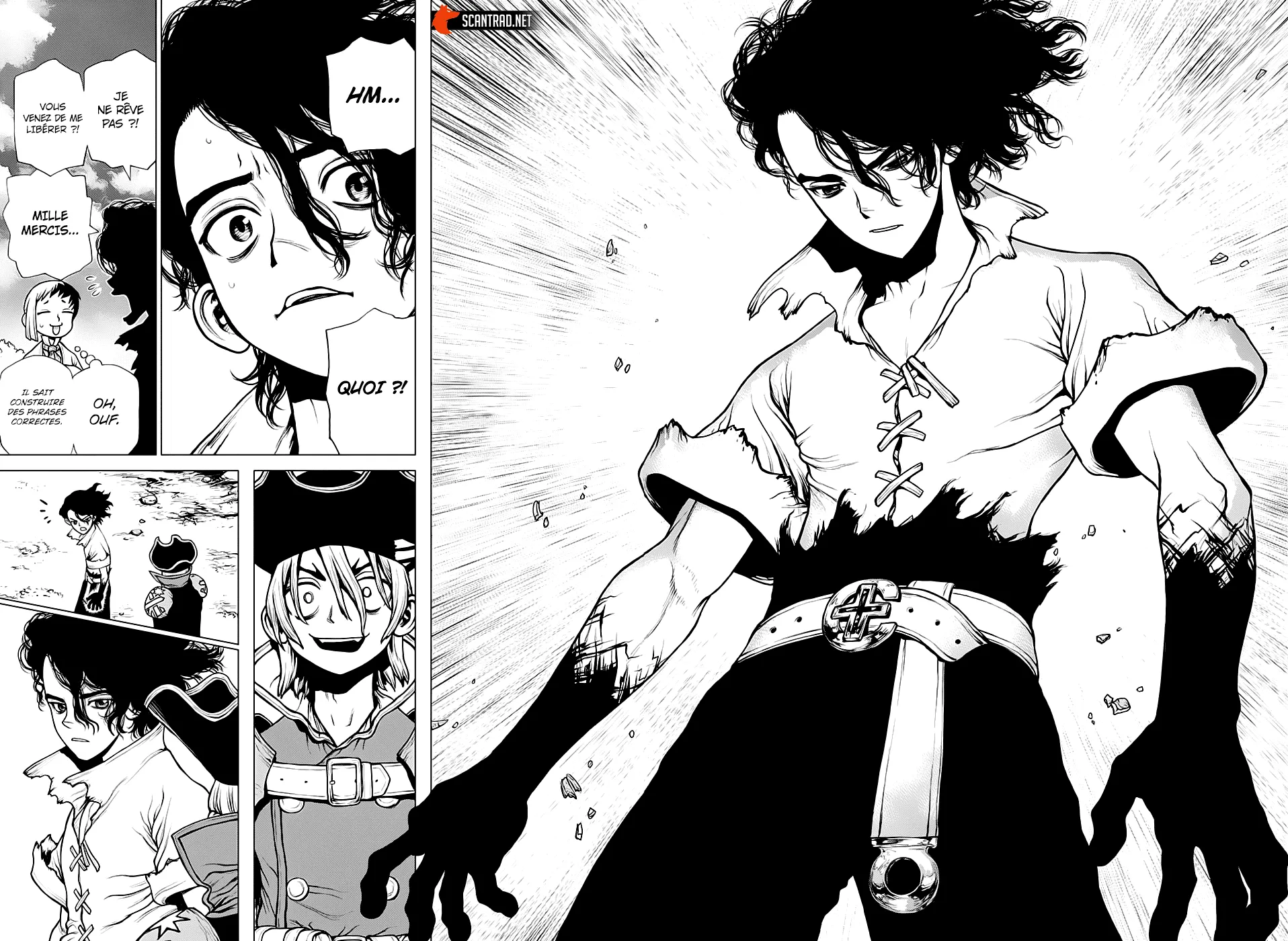 Read Dr. Stone FR Manga Online