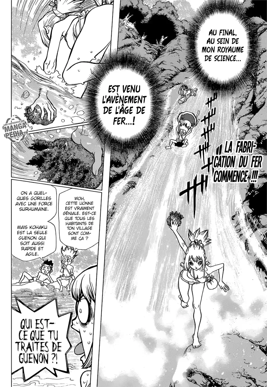 Read Dr. Stone FR Manga Online