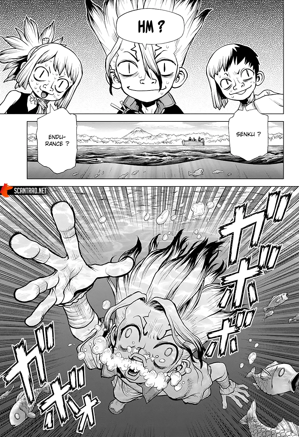 Read Dr. Stone FR Manga Online