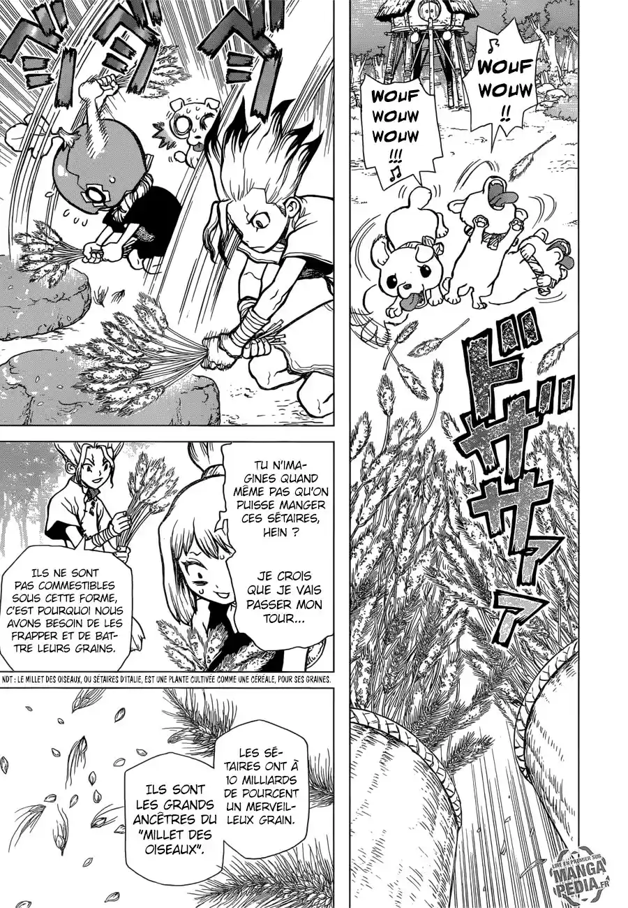 Read Dr. Stone FR Manga Online