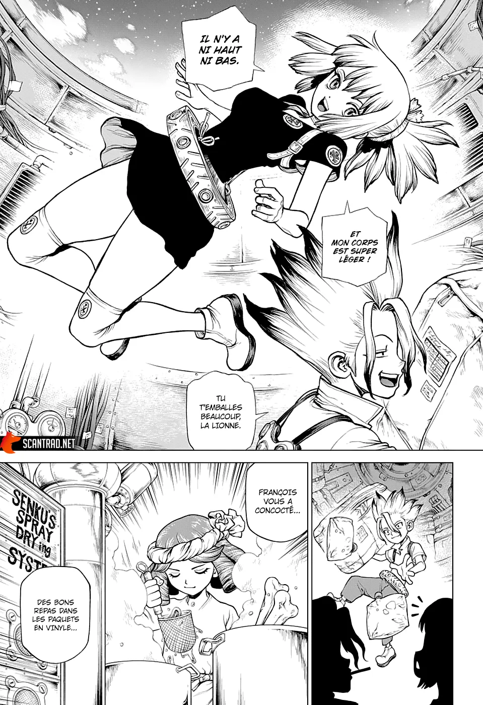 Read Dr. Stone FR Manga Online