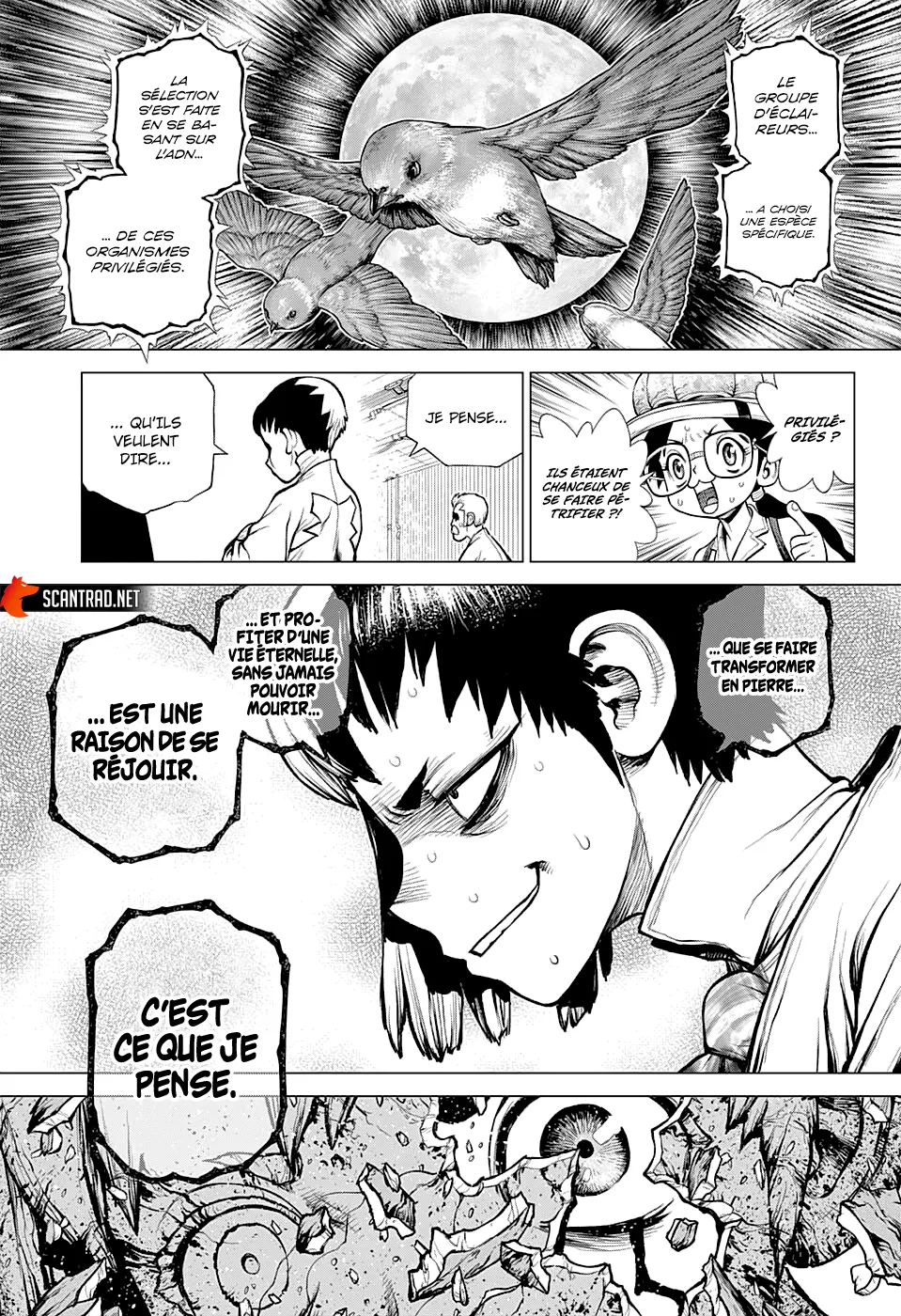 Read Dr. Stone FR Manga Online