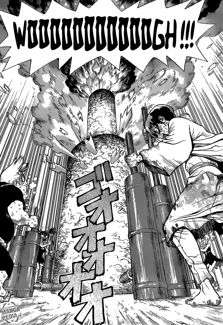 Read Dr. Stone FR Manga Online