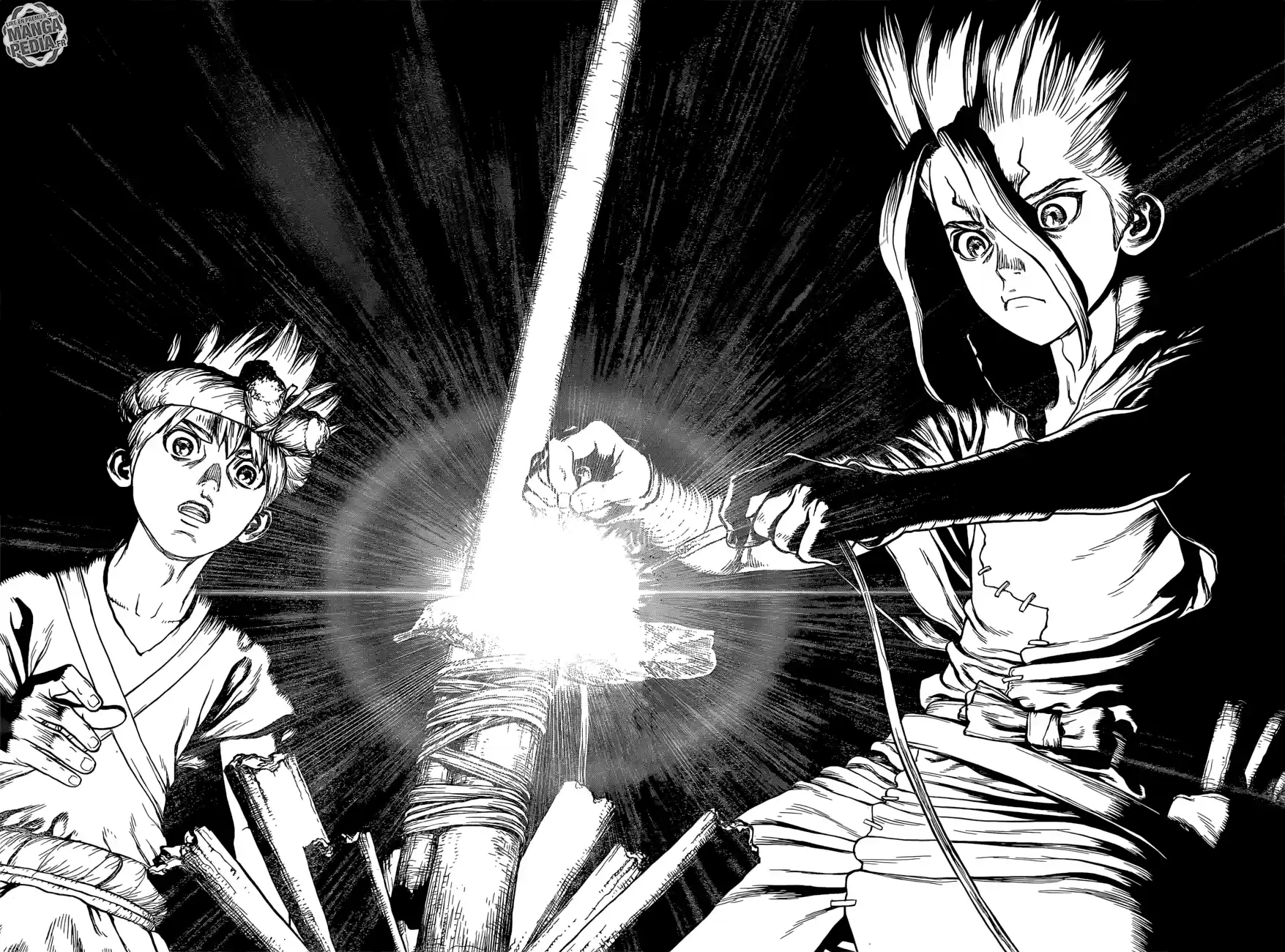 Read Dr. Stone FR Manga Online