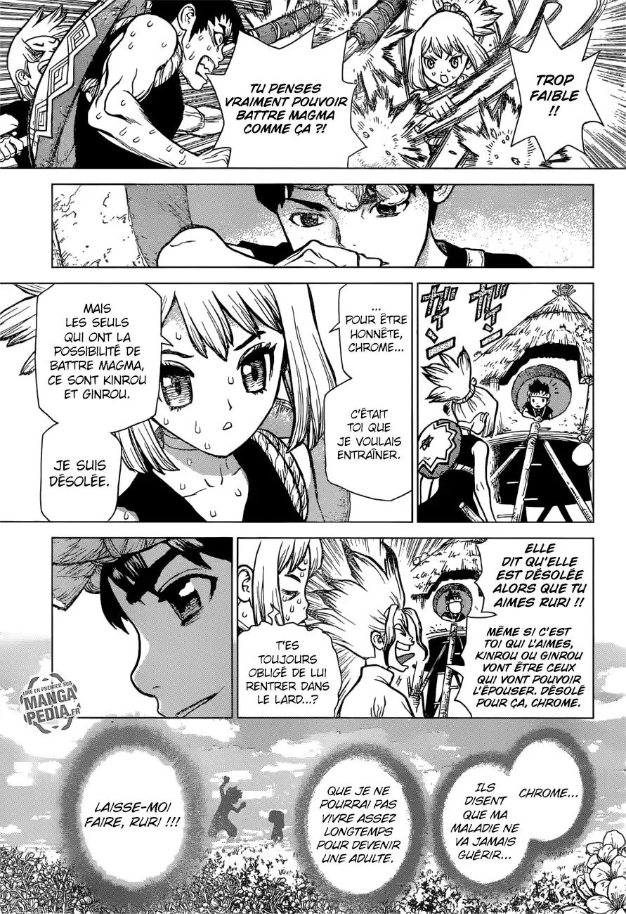 Read Dr. Stone FR Manga Online