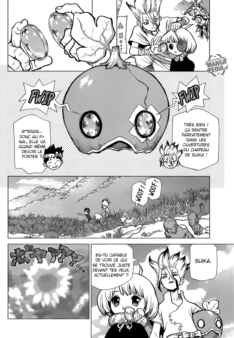 Read Dr. Stone FR Manga Online