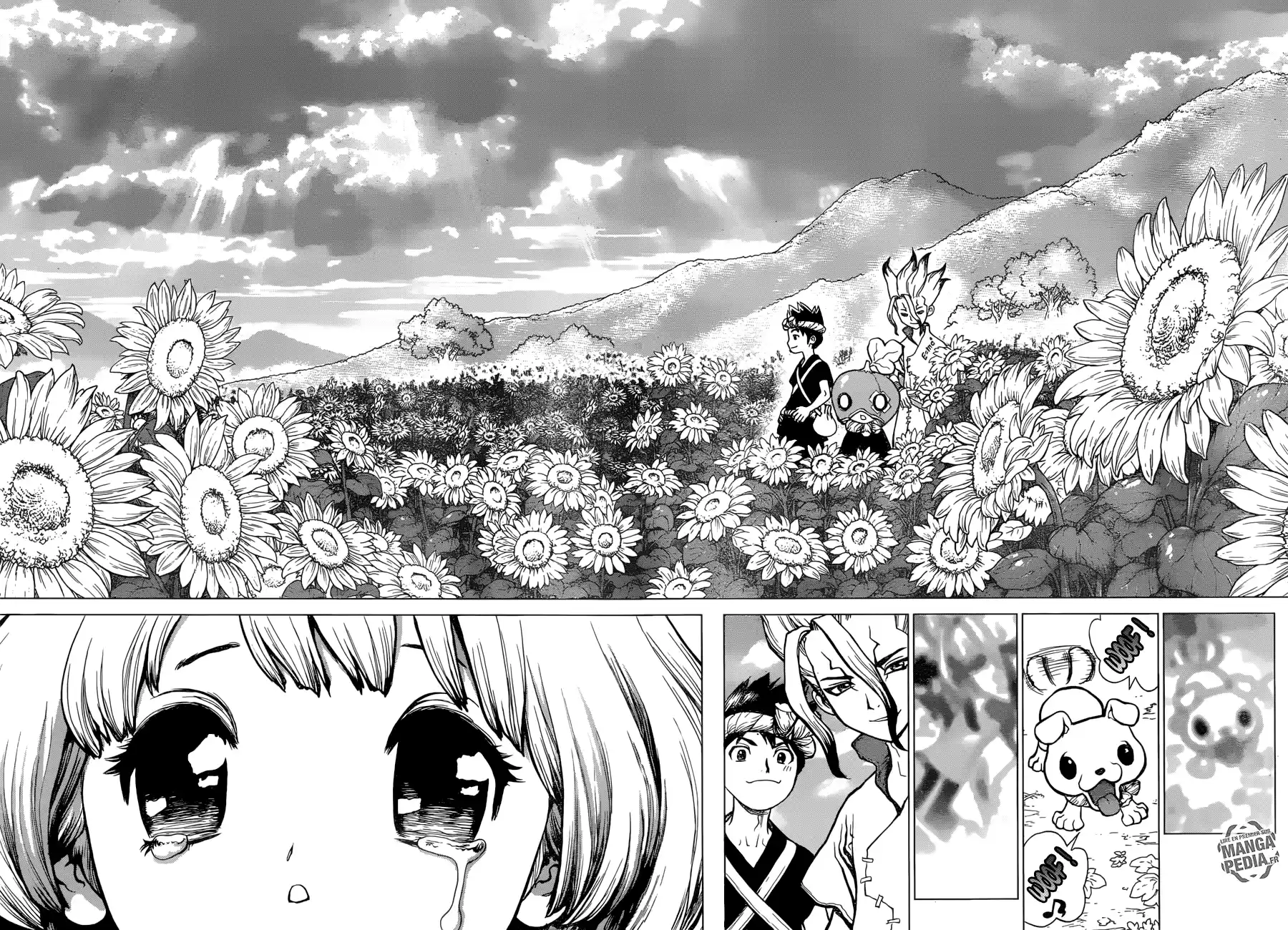 Read Dr. Stone FR Manga Online