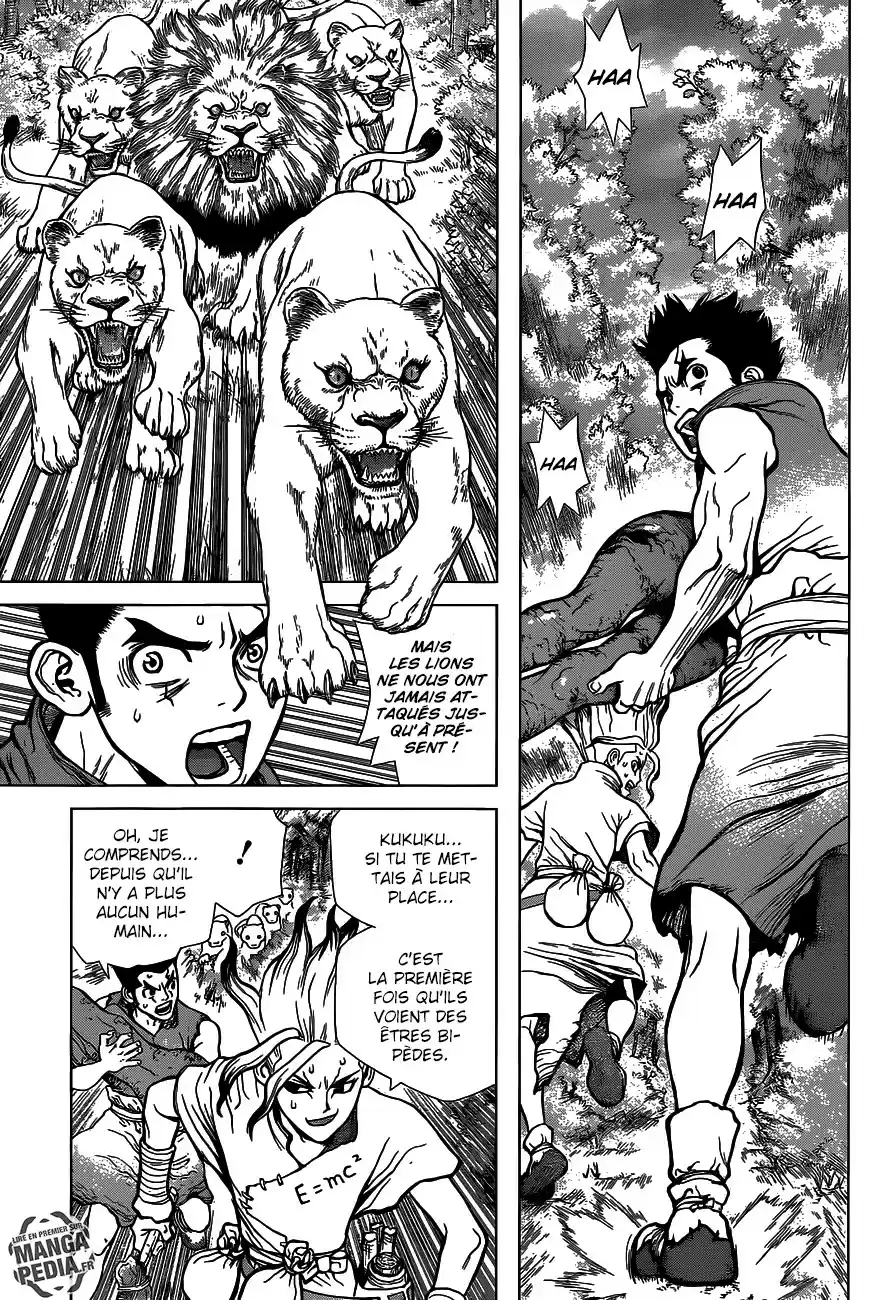 Read Dr. Stone FR Manga Online