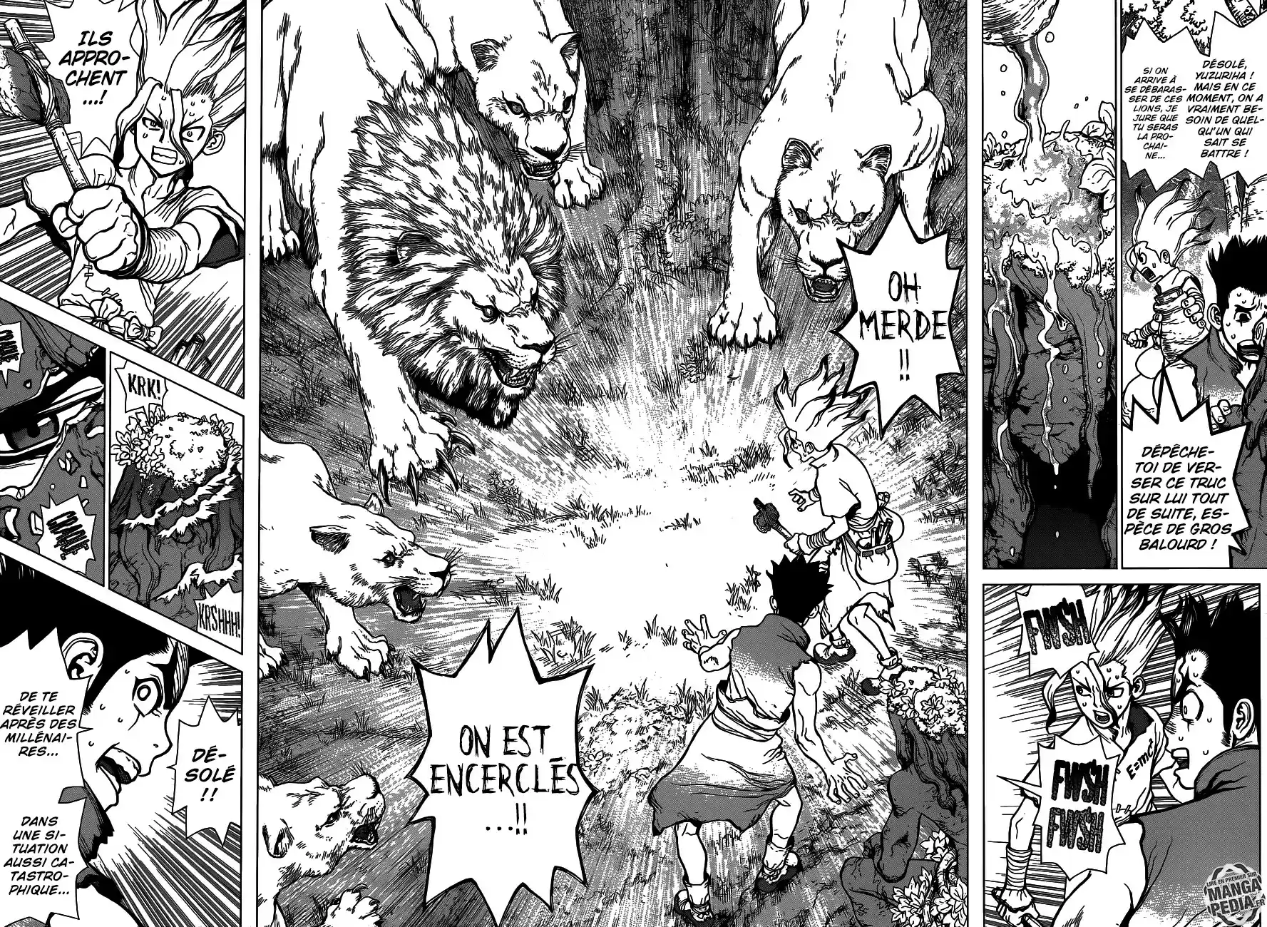 Read Dr. Stone FR Manga Online