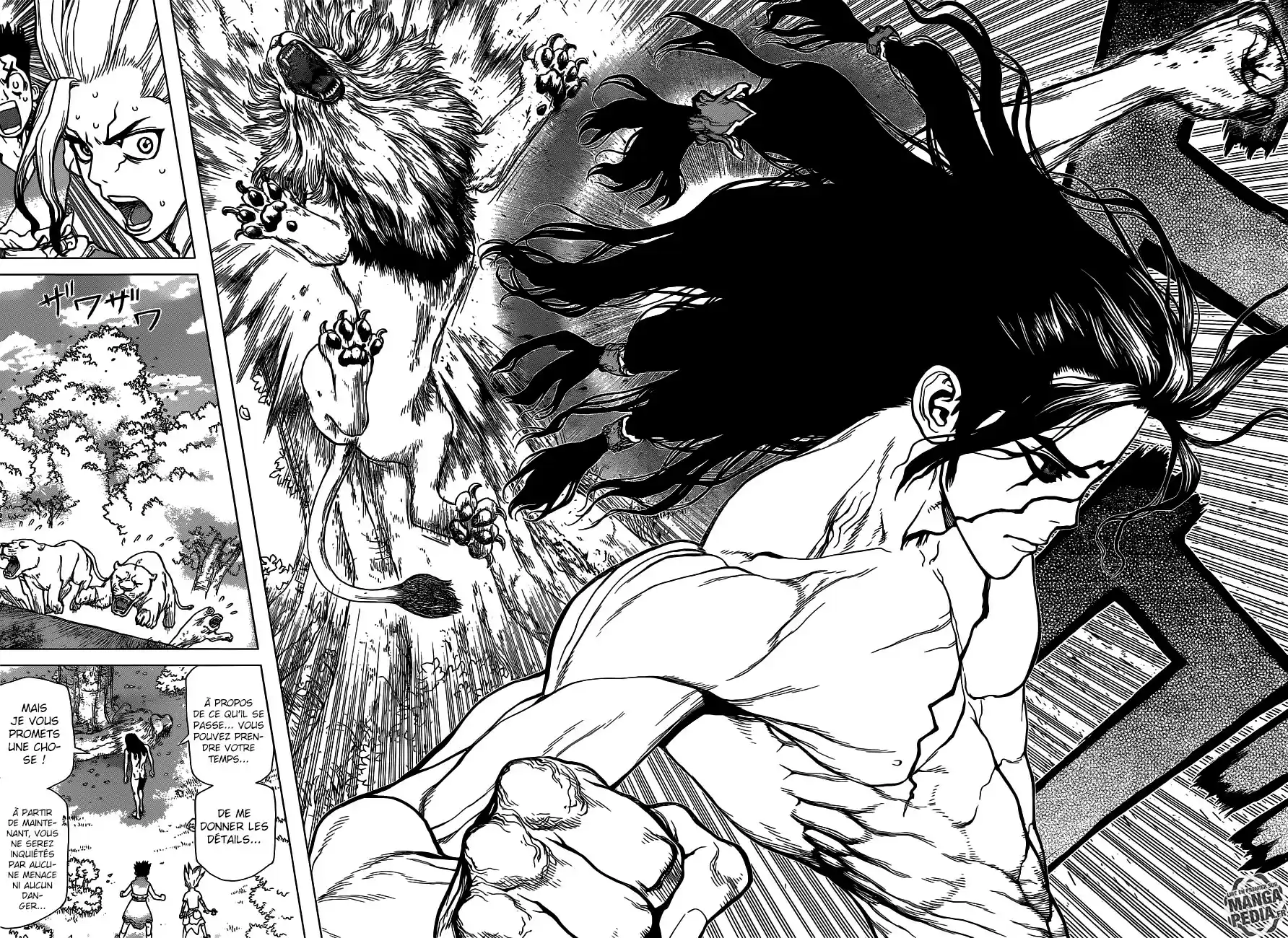 Read Dr. Stone FR Manga Online