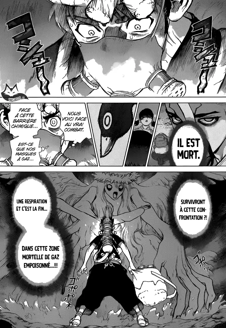 Read Dr. Stone FR Manga Online