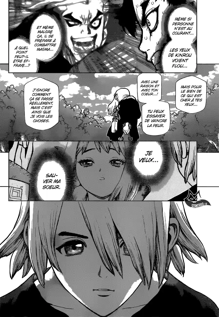 Read Dr. Stone FR Manga Online