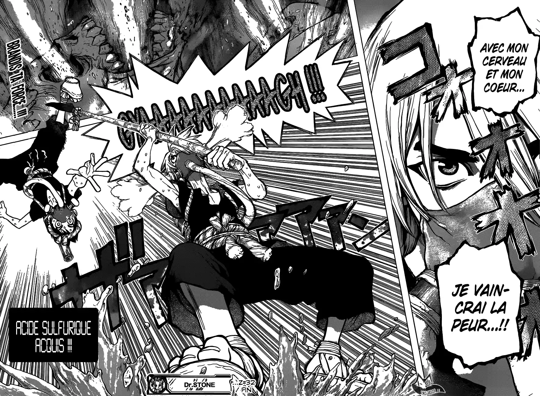 Read Dr. Stone FR Manga Online