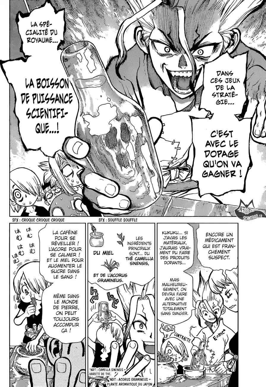 Read Dr. Stone FR Manga Online