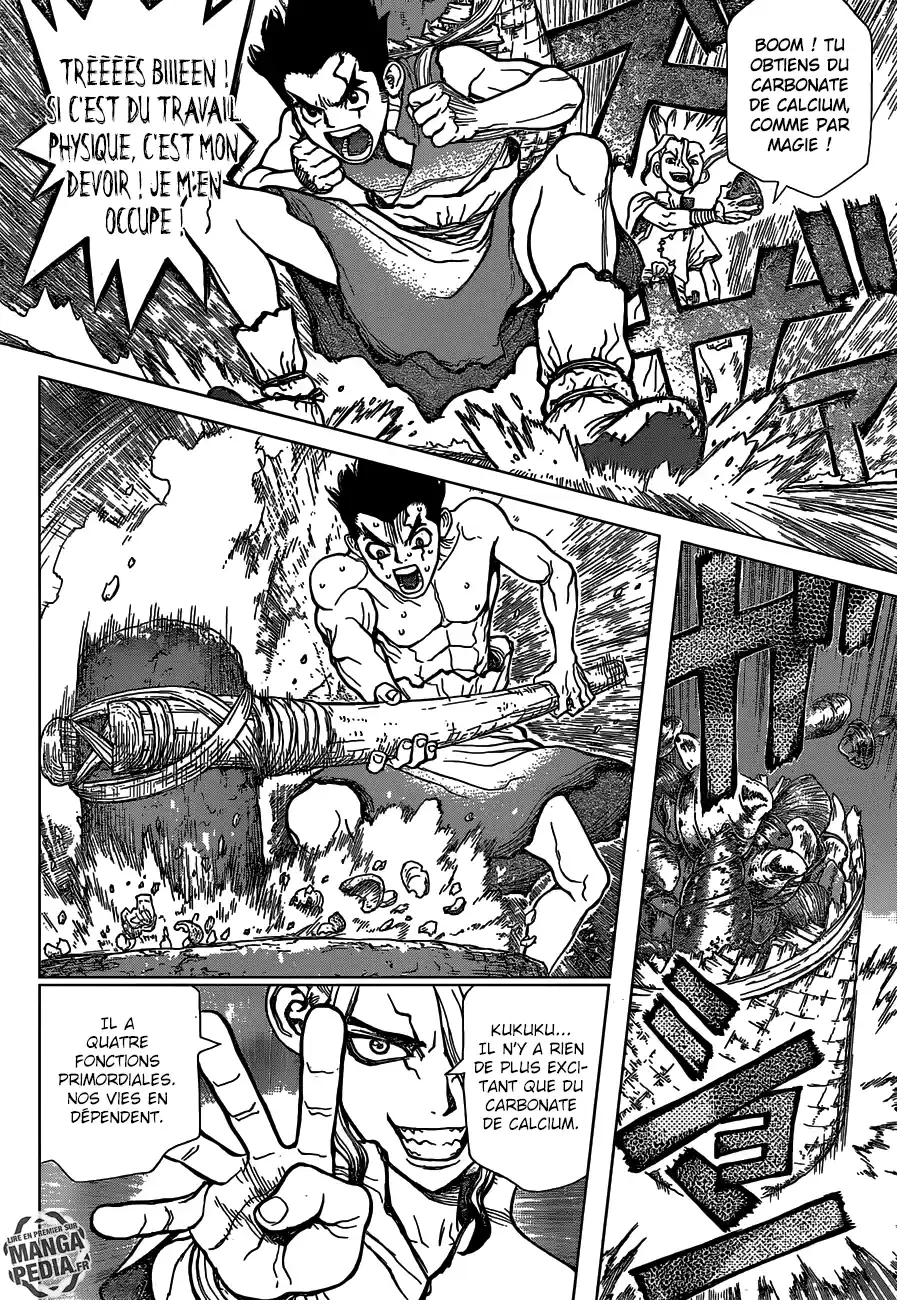 Read Dr. Stone FR Manga Online