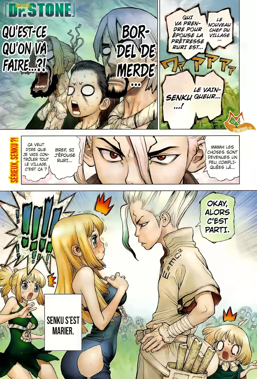 Read Dr. Stone FR Manga Online