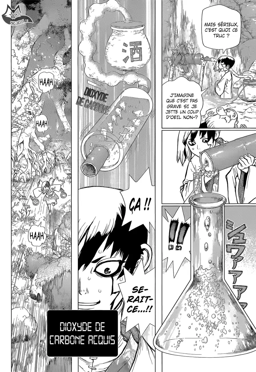 Read Dr. Stone FR Manga Online