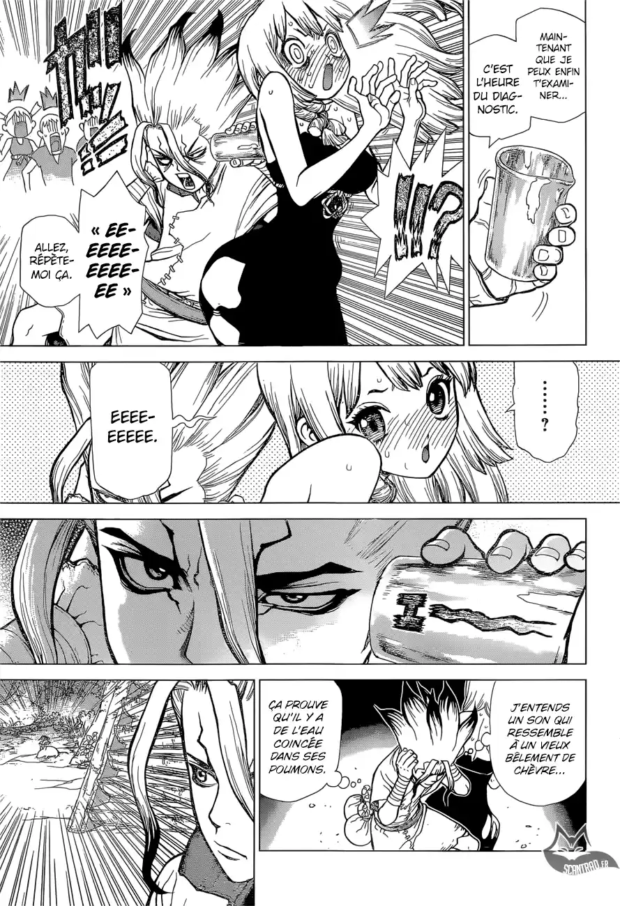 Read Dr. Stone FR Manga Online
