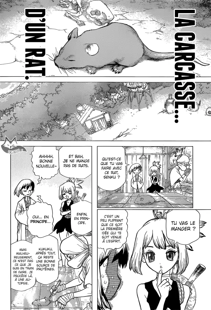 Read Dr. Stone FR Manga Online