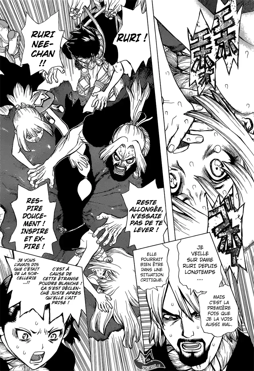 Read Dr. Stone FR Manga Online