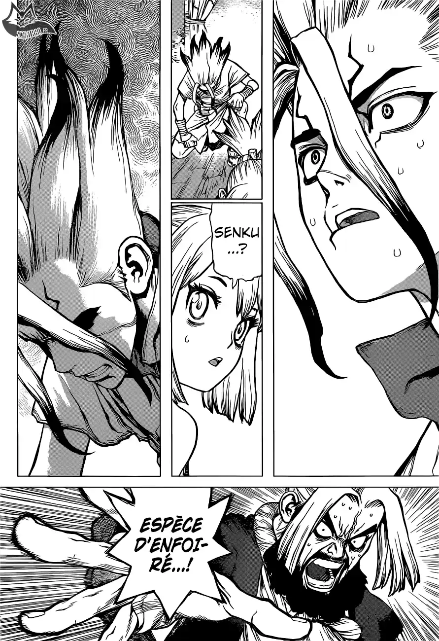 Read Dr. Stone FR Manga Online