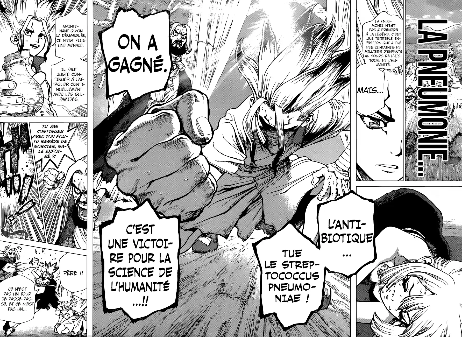 Read Dr. Stone FR Manga Online