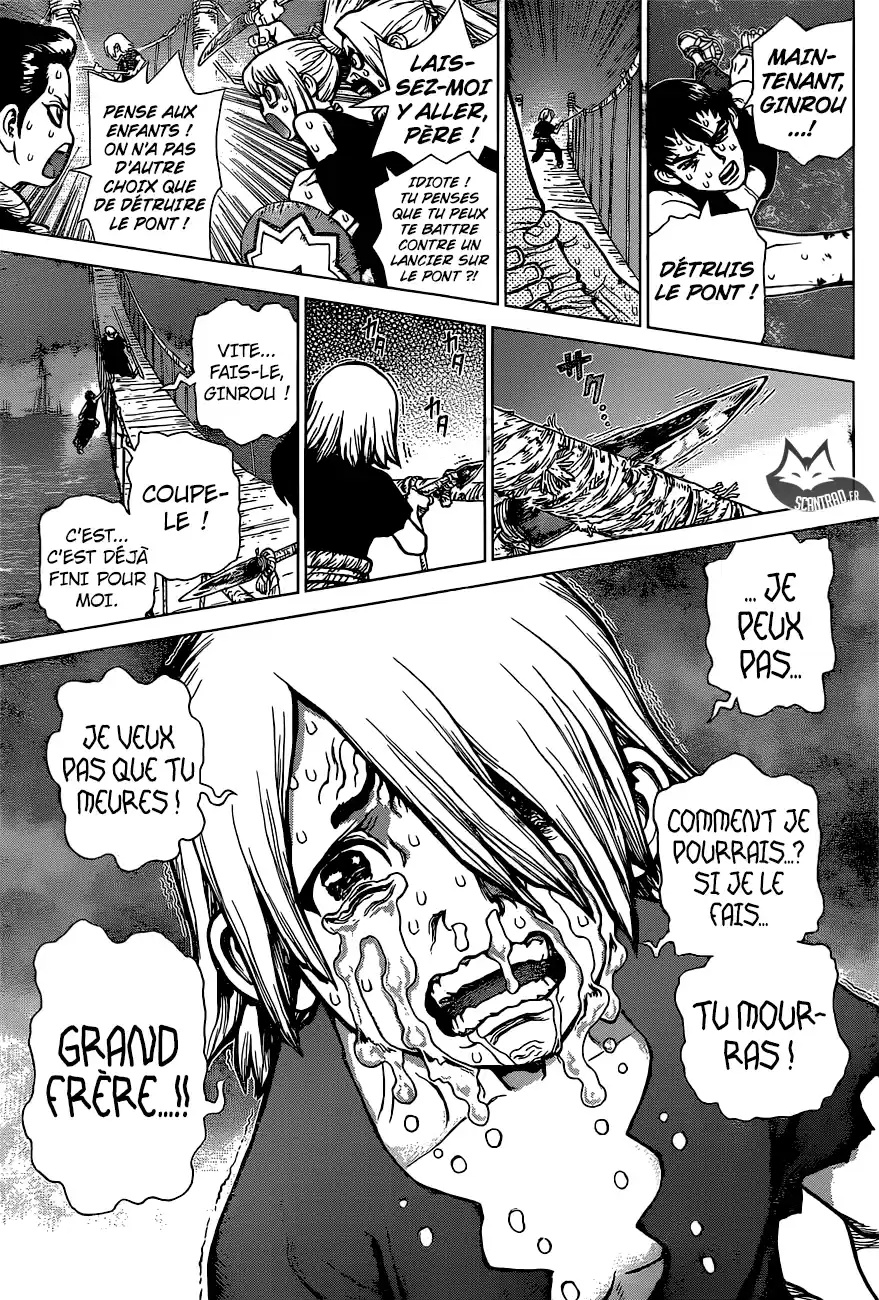 Read Dr. Stone FR Manga Online
