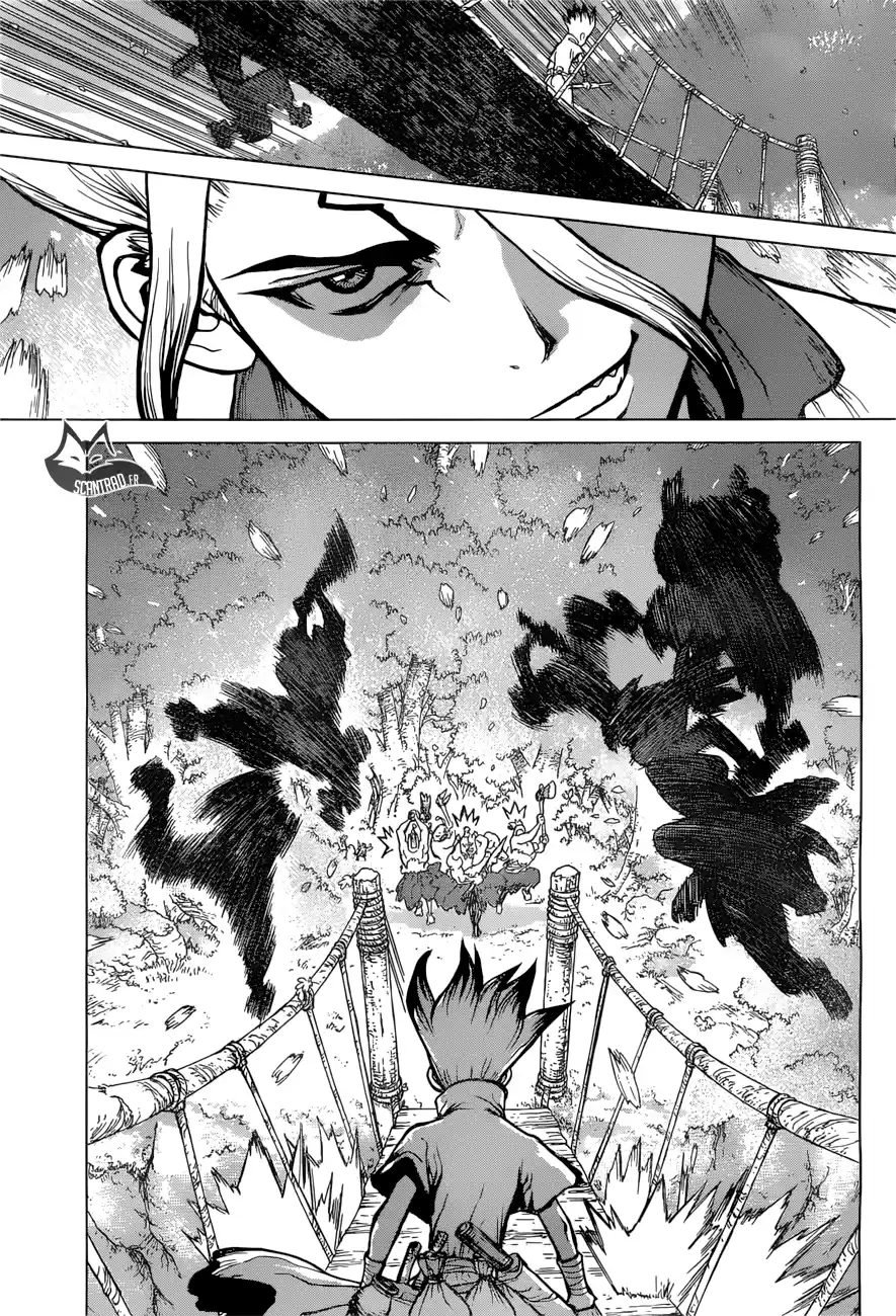 Read Dr. Stone FR Manga Online